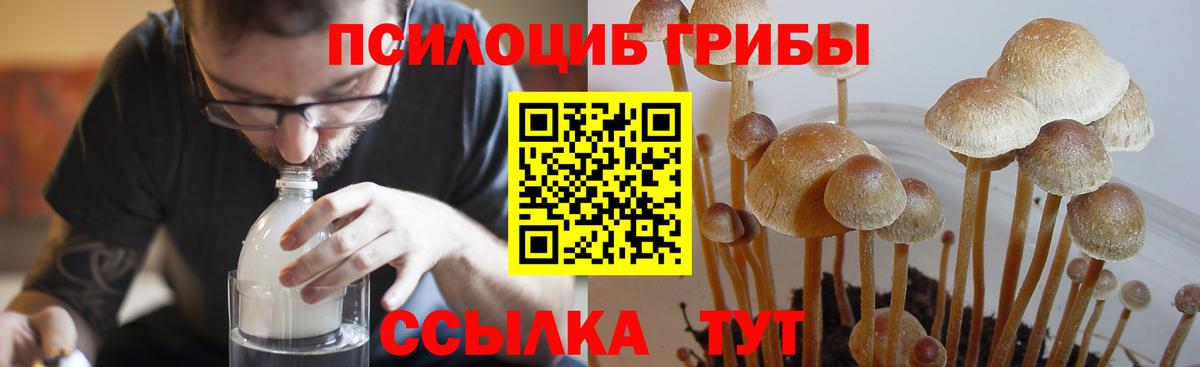 Галлюциногенные грибы Psilocybine cubensis  Вход с VPN  как найти наркотики  Карабулак  Галлюциногенные грибы ЛСД 